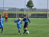S.K.N.W.K. JO9-1 - ST FC De Westhoek '20/Z.S.C. '62 JO9-3 (competitie) 2024-2025 (4e fase) (47/48)